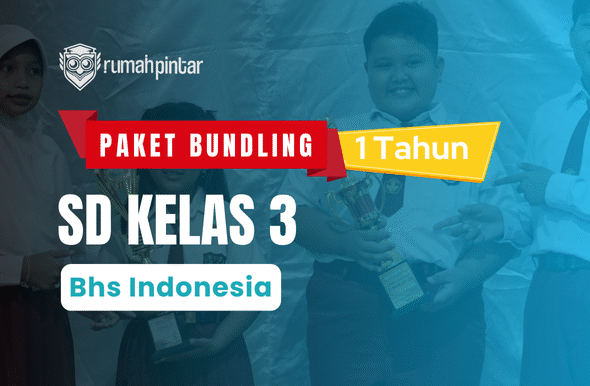 Bundling 3 SD